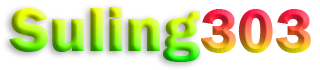SULING303